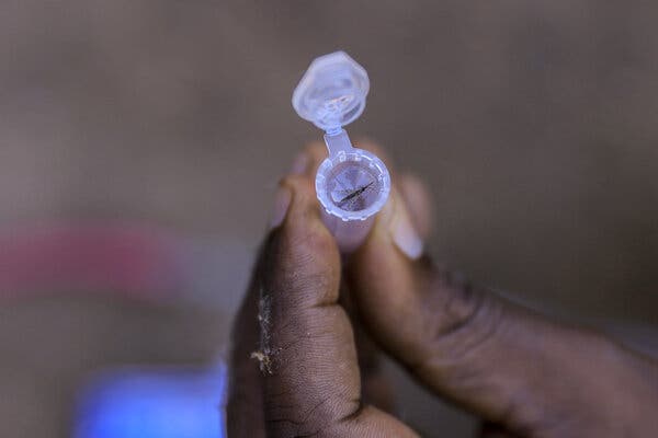 A close-up view of a mosquito caught in a small plastic tube with an open top, held by an entomologist.