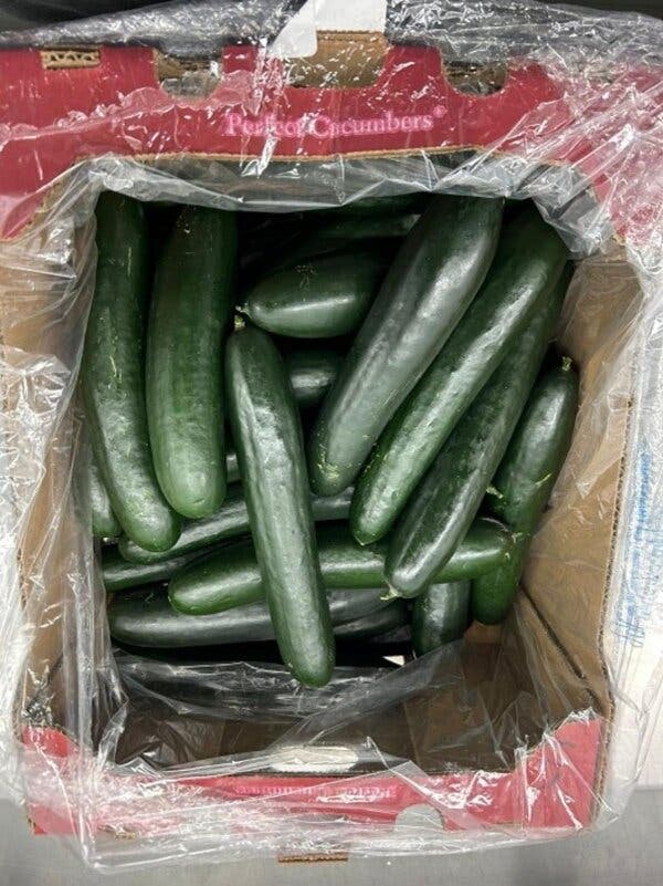 A cardboard box filled with cucumbers contained within plastic wrap.