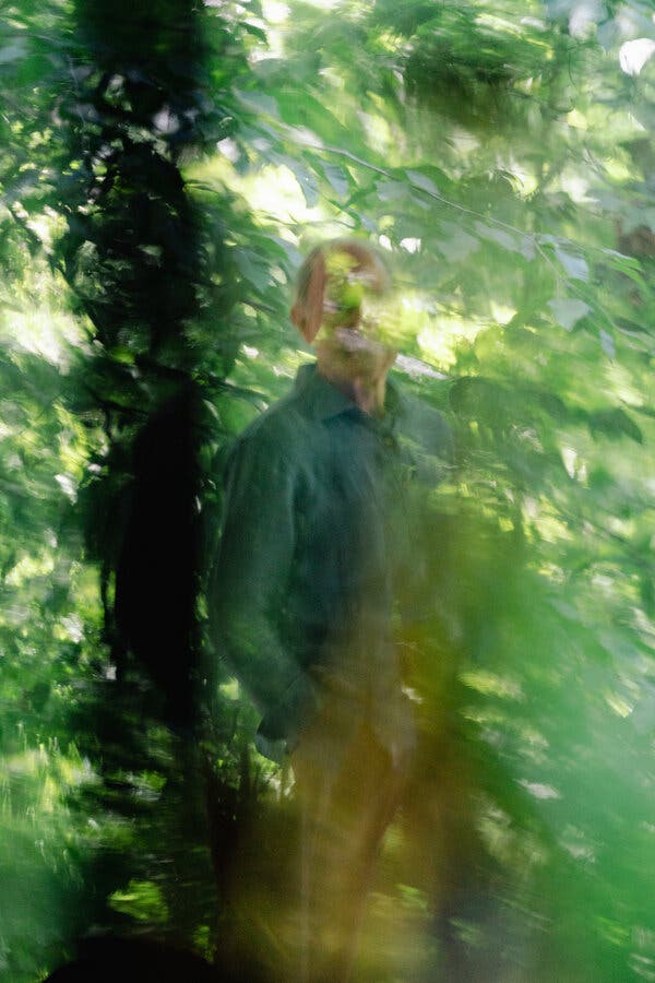 A portrait of Barry Blechman through a window and with blurry foliage partially obscuring his face.