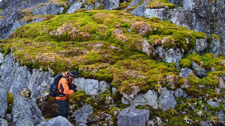 Norsel Point on Amsler Island in the Palmer Archipelago of Antarctica.
PIc: University of Exeter/PA Wire