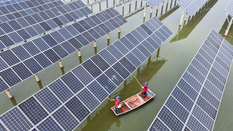 Workers row a boat to perform maintenance on a solar farm built in a lake of fish farming in Siyang county in east China's Jiangsu province Thursday, Oct. 10, 2024.  (FeatureChina via AP Images)