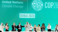 COP28 President Sultan Ahmed Al Jaber attends the plenary, after a draft of a negotiation deal was released, at the United Nations Climate Change Conference COP28 in Dubai, United Arab Emirates, December 13, 2023. REUTERS/Amr Alfiky