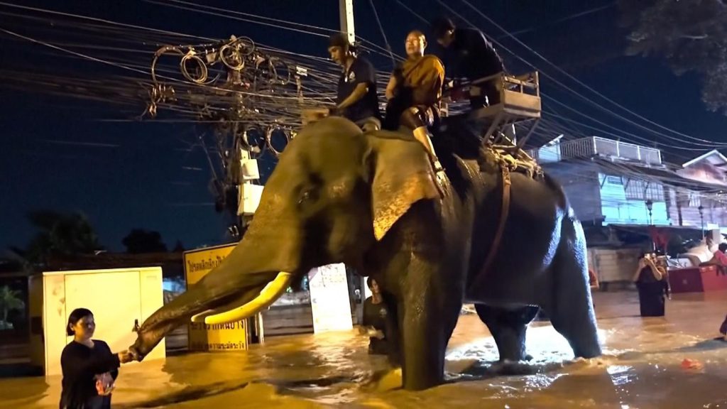 skynews-floods-elephant-thailand_6709090