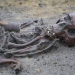 skynews-denmark-viking_6715841